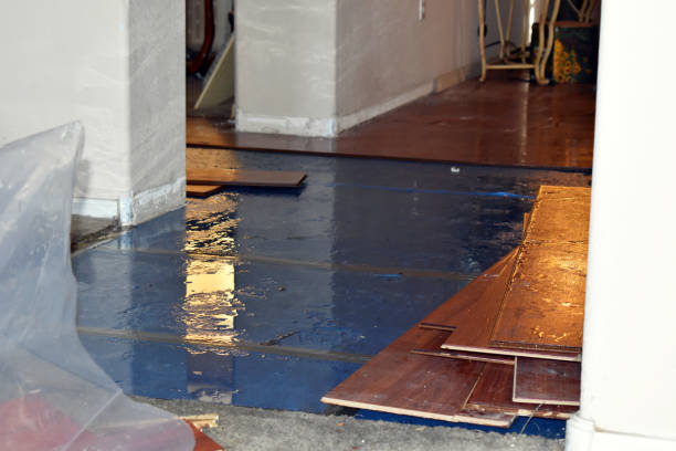 Professional Water Damage Restoration technician working in Chelsea, MA